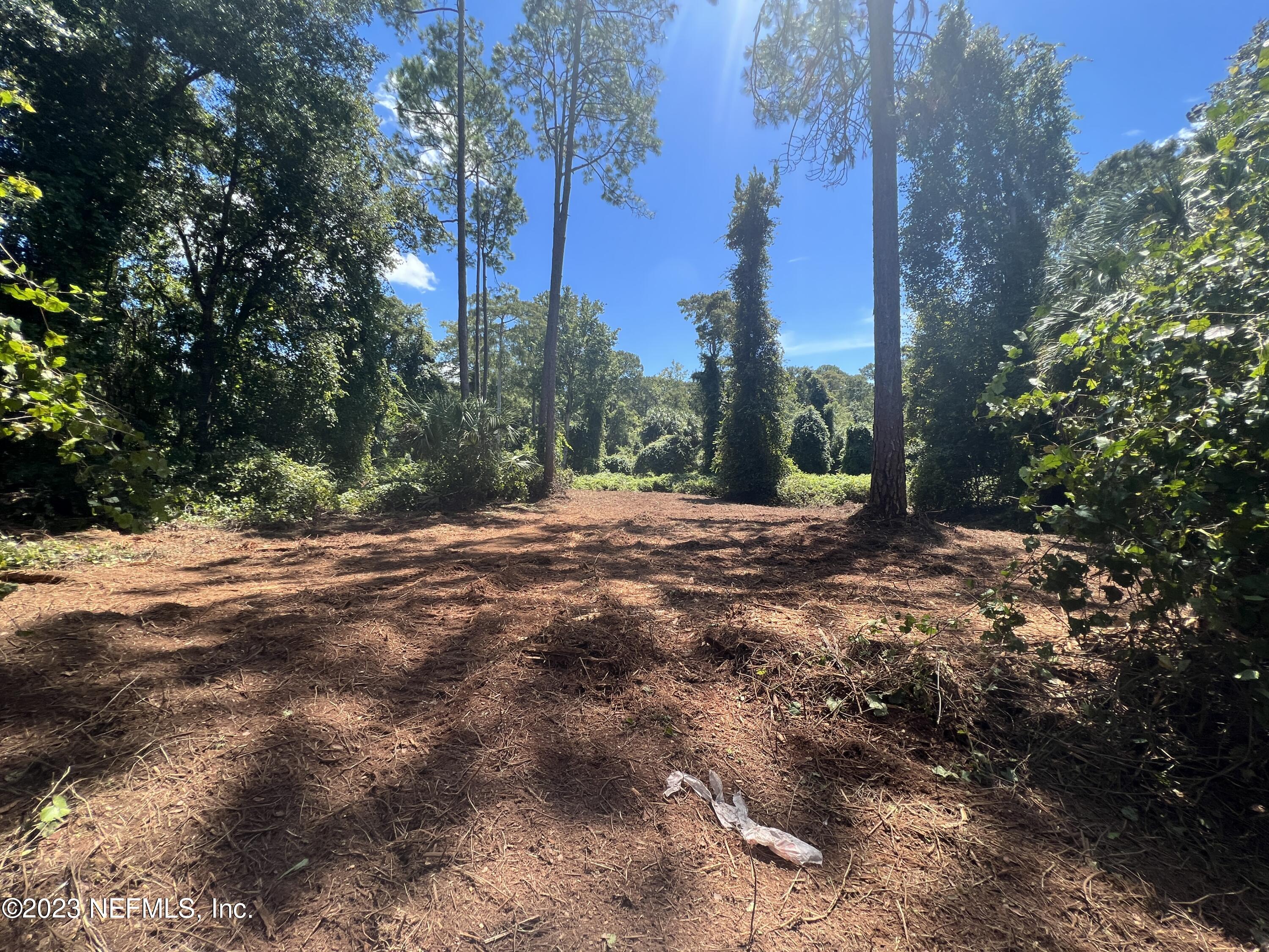 162 Whispering Pines Road Georgetown, FL 32139 - Photo 6 of 13 IMG-0945