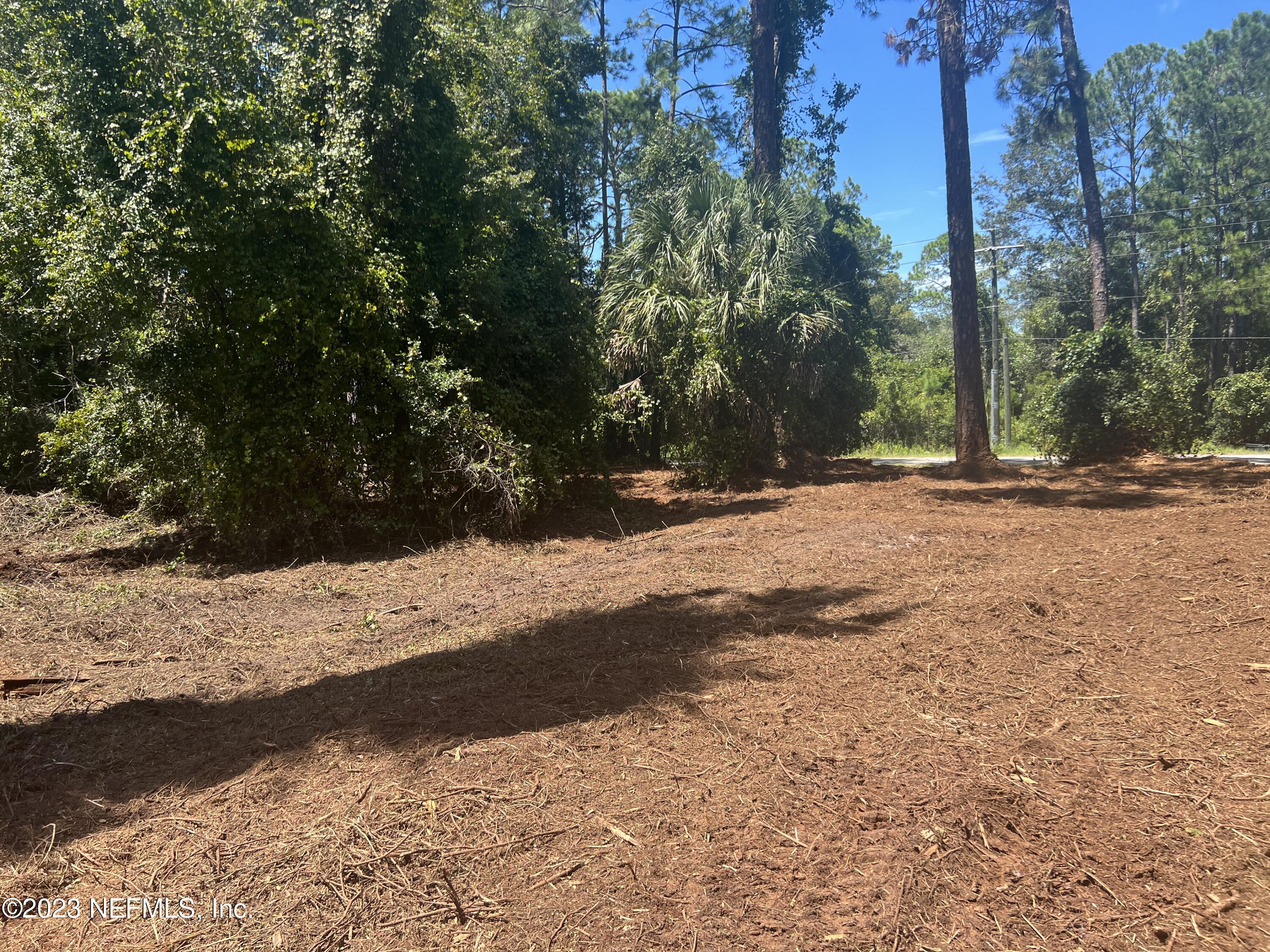 162 Whispering Pines Road Georgetown, FL 32139 - Photo 7 of 13 IMG-0941