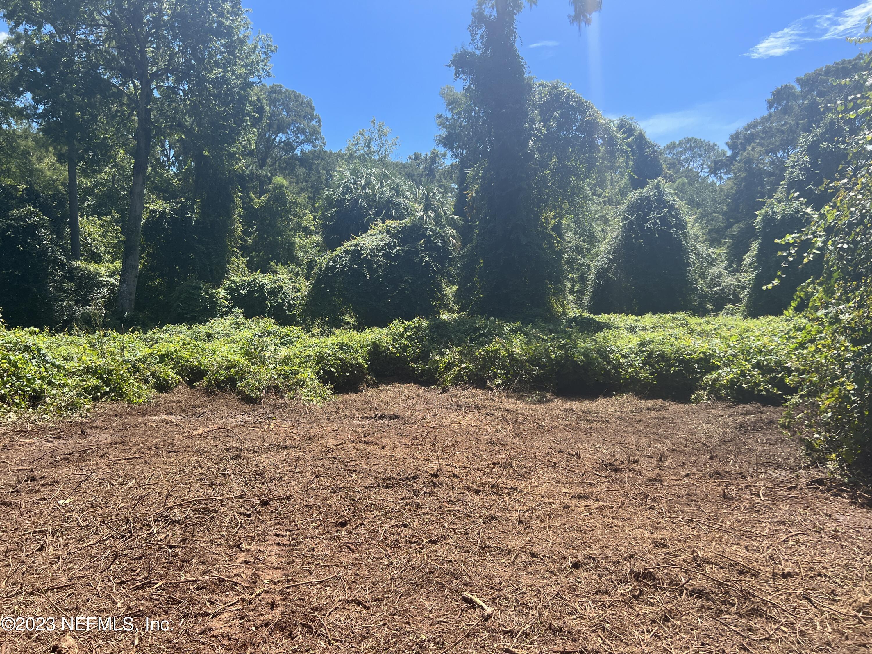 162 Whispering Pines Road Georgetown, FL 32139 - Photo 8 of 13 IMG-0942