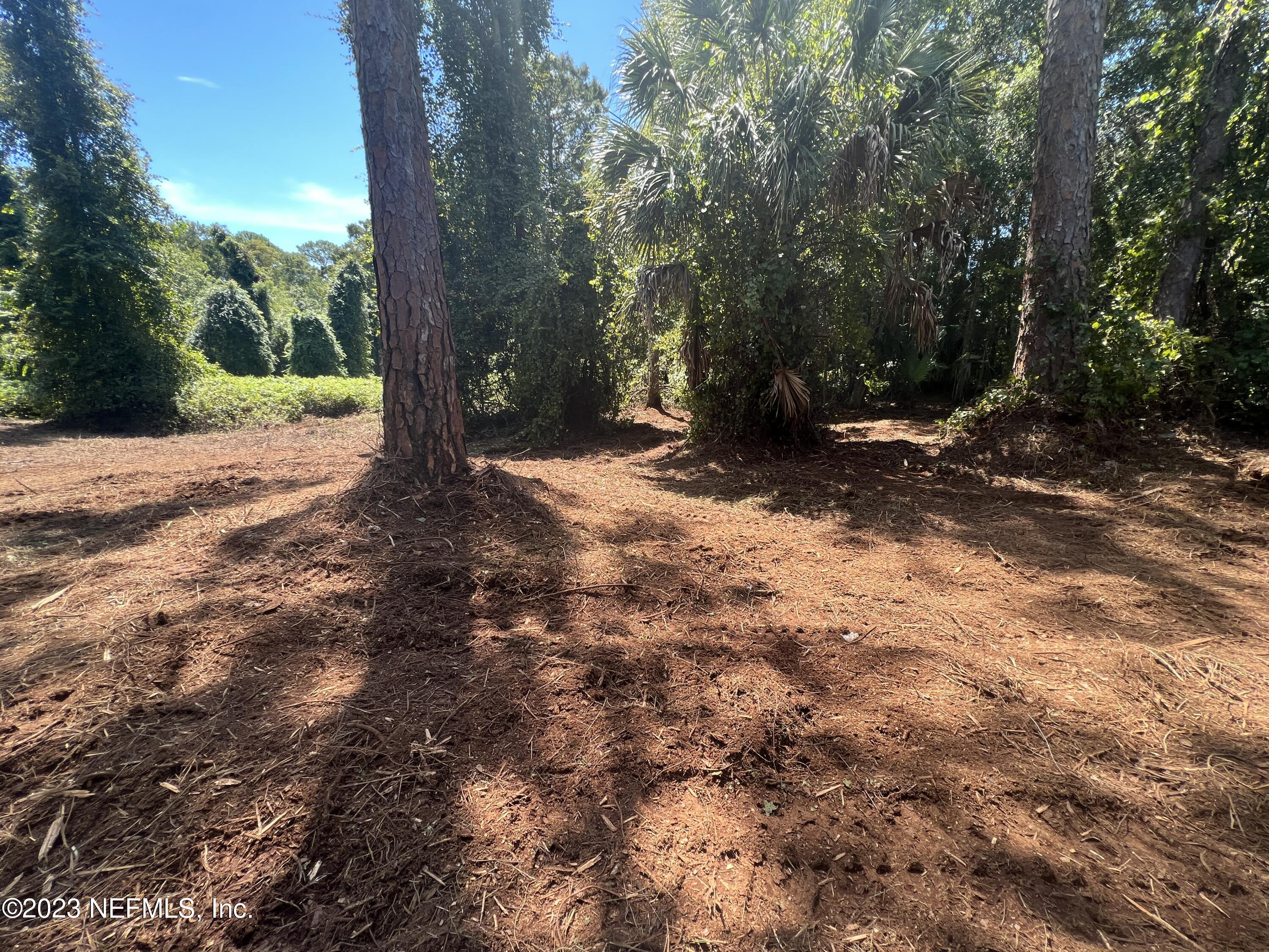 162 Whispering Pines Road Georgetown, FL 32139 - Photo 9 of 13 IMG-0943