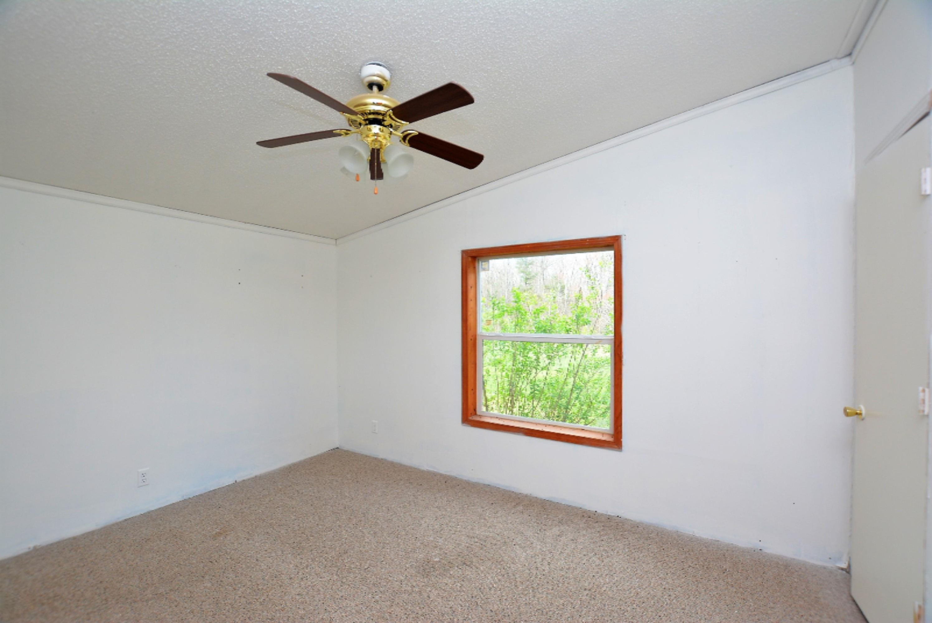 1505 West Skeels Road Montague, MI 49437 - Photo 7 of 7 2017-04-26 11.28.51