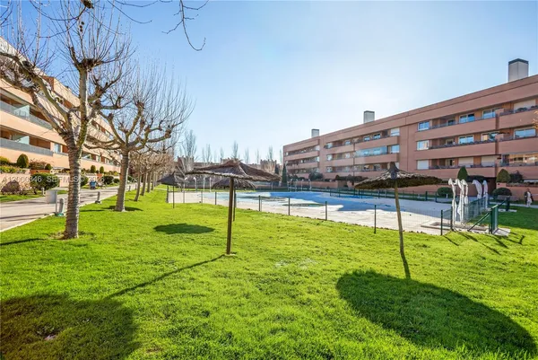 a view of a swimming pool with a garden