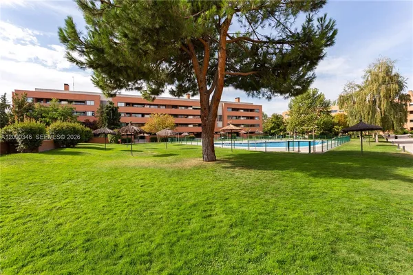 a view of a park with large trees