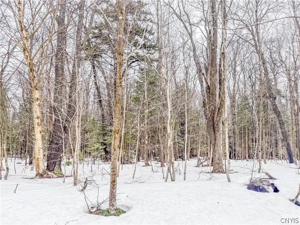 $90,000 | 1727 Olin Road, Montague, NY 13367