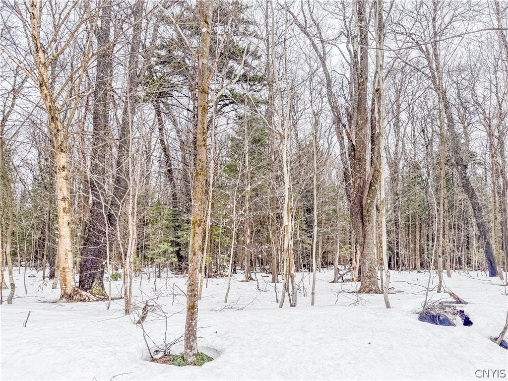 1727 Olin Road Montague, NY 13367 - Photo 1 of 10