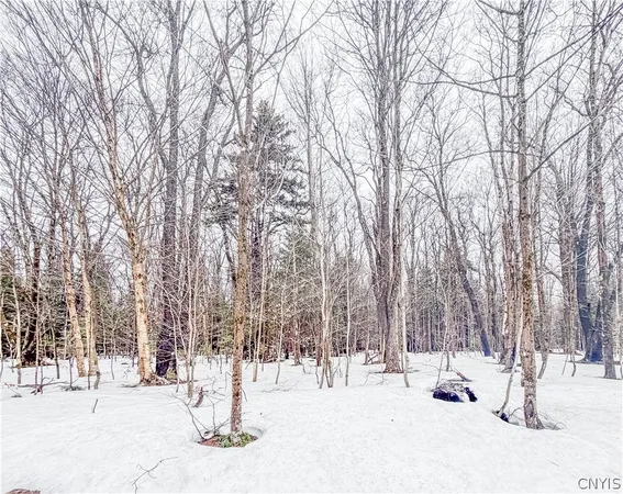 $90,000 | 1727 Olin Road, Montague, NY 13367