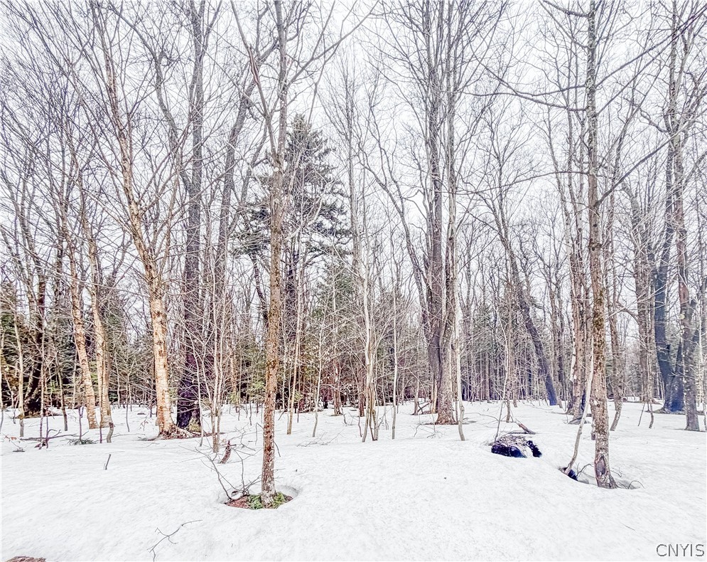 1727 Olin Road Montague, NY 13367 - Photo 2 of 10