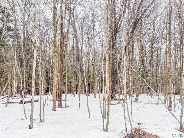 $90,000 | 1727 Olin Road, Montague, NY 13367
