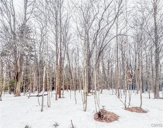$90,000 | 1727 Olin Road, Montague, NY 13367