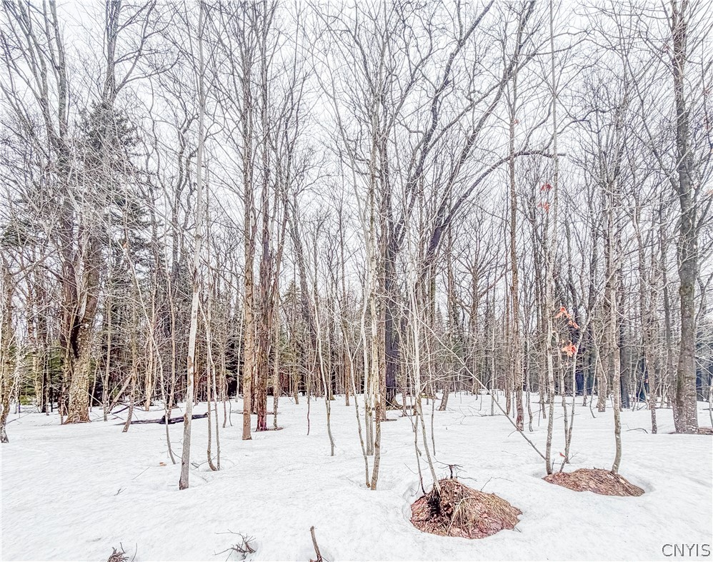 1727 Olin Road Montague, NY 13367 - Photo 4 of 10