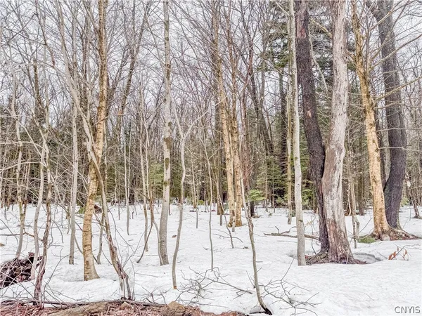 $90,000 | 1727 Olin Road, Montague, NY 13367