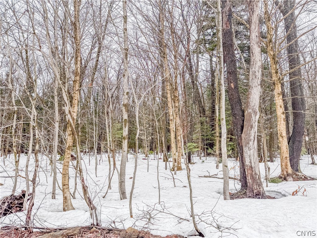 1727 Olin Road Montague, NY 13367 - Photo 5 of 10