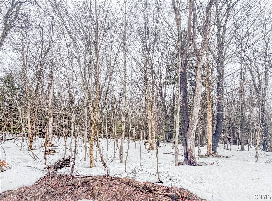 1727 Olin Road Montague, NY 13367 - Photo 6 of 10