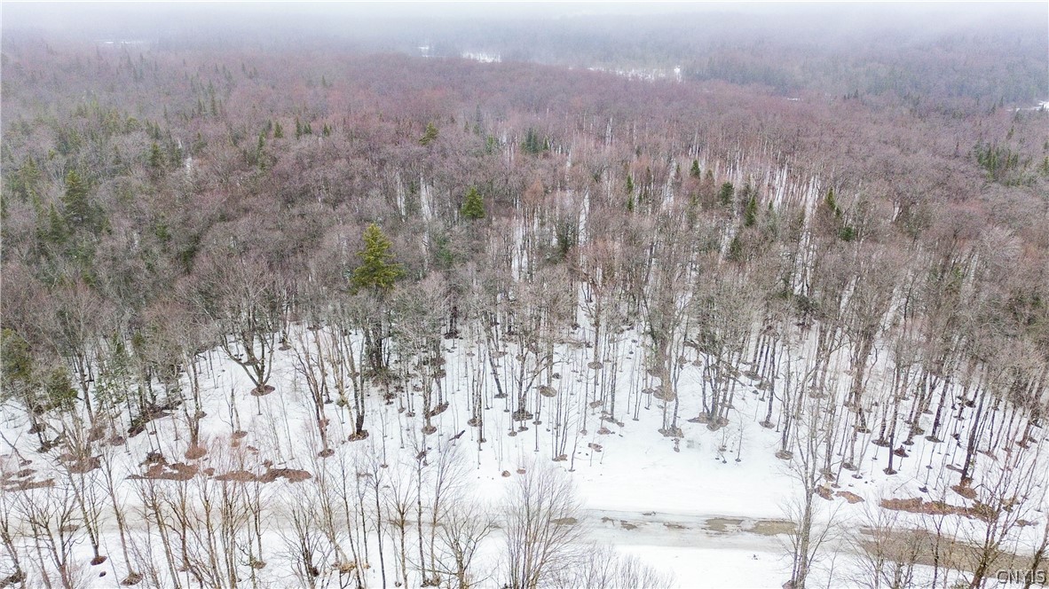 1727 Olin Road Montague, NY 13367 - Photo 10 of 10