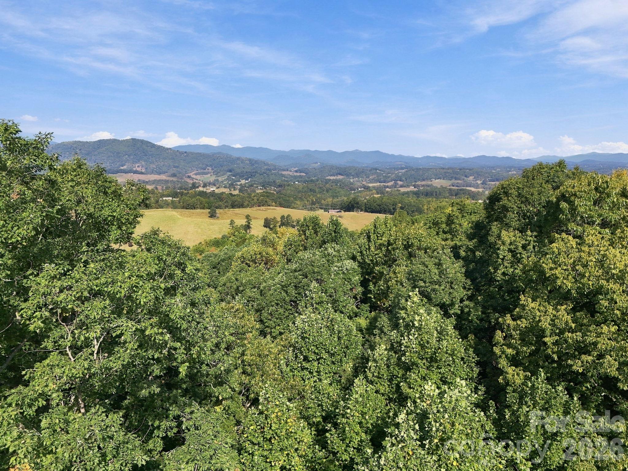 74 Balsamwood Road Leicester, NC 28748 - Photo 8 of 10 Gallery Image 8