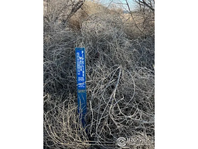 a view of a bathroom with a shower