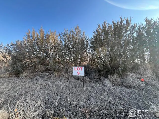 a sign that is on the side of the road