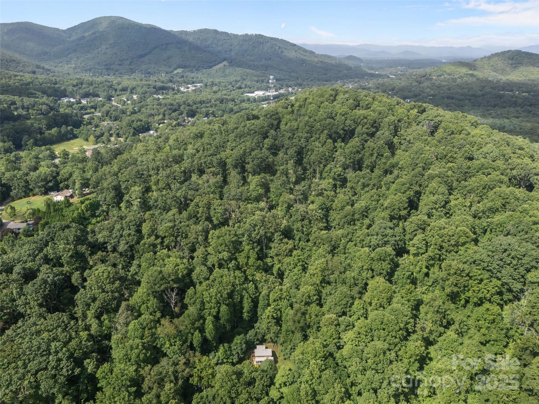 127 Franklin Road Swannanoa, NC 28778 - Photo 21 of 41 Gallery Image 21