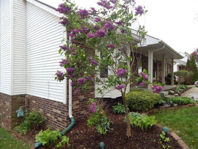 1114 Rockbridge Road Lexington, KY 40515 - Photo 28 of 45 Photo 28