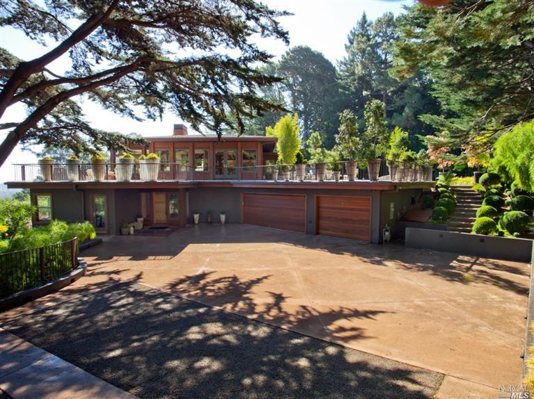 a view of a yard with plants and tree