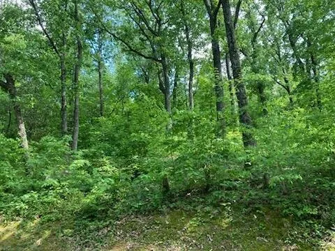 $425,000 | 334 Woodrow Avenue, Red Bank, TN 37415