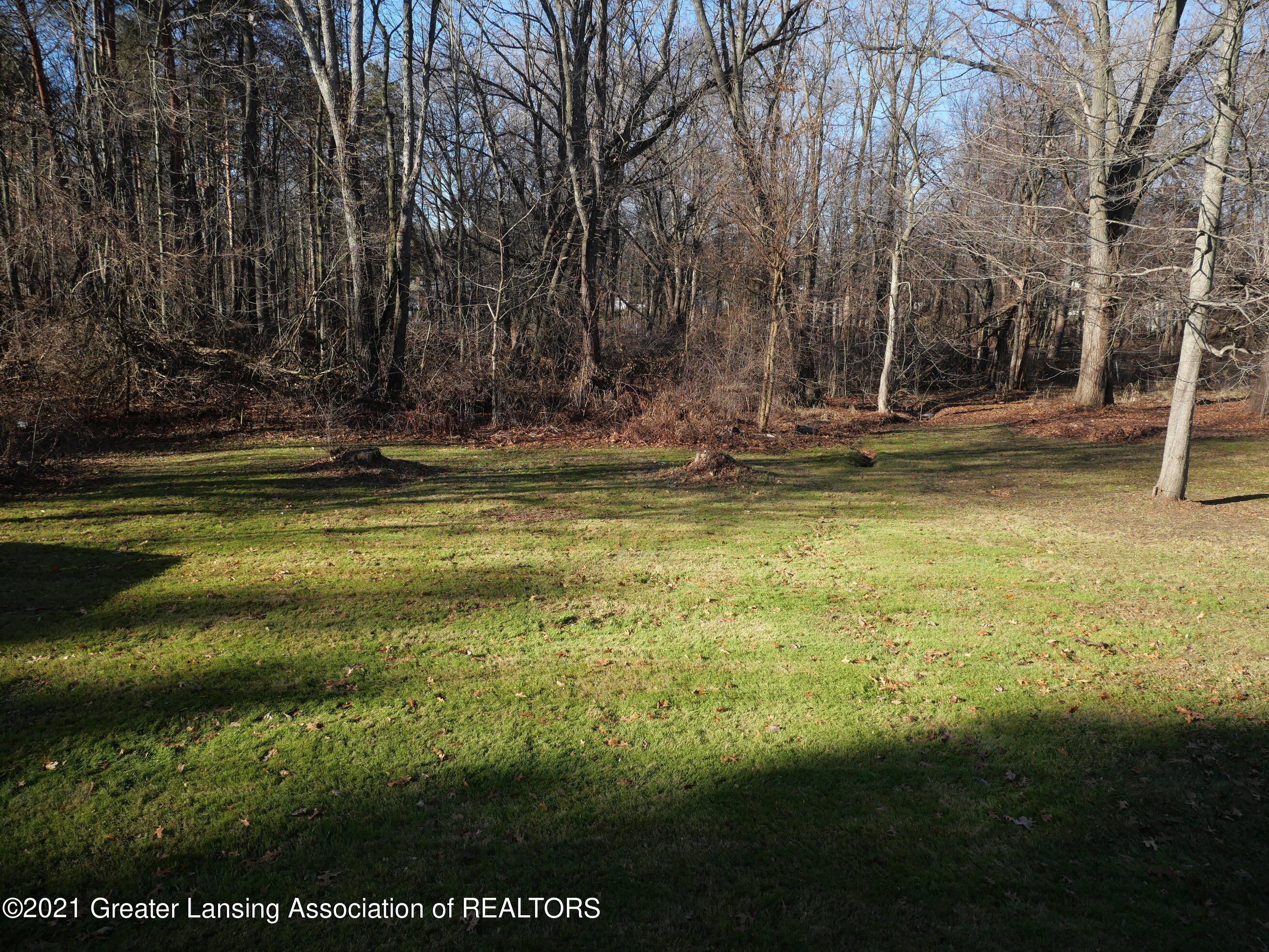 12526 South Beardslee Road Perry, MI 48872 - Photo 10 of 41 P1000515