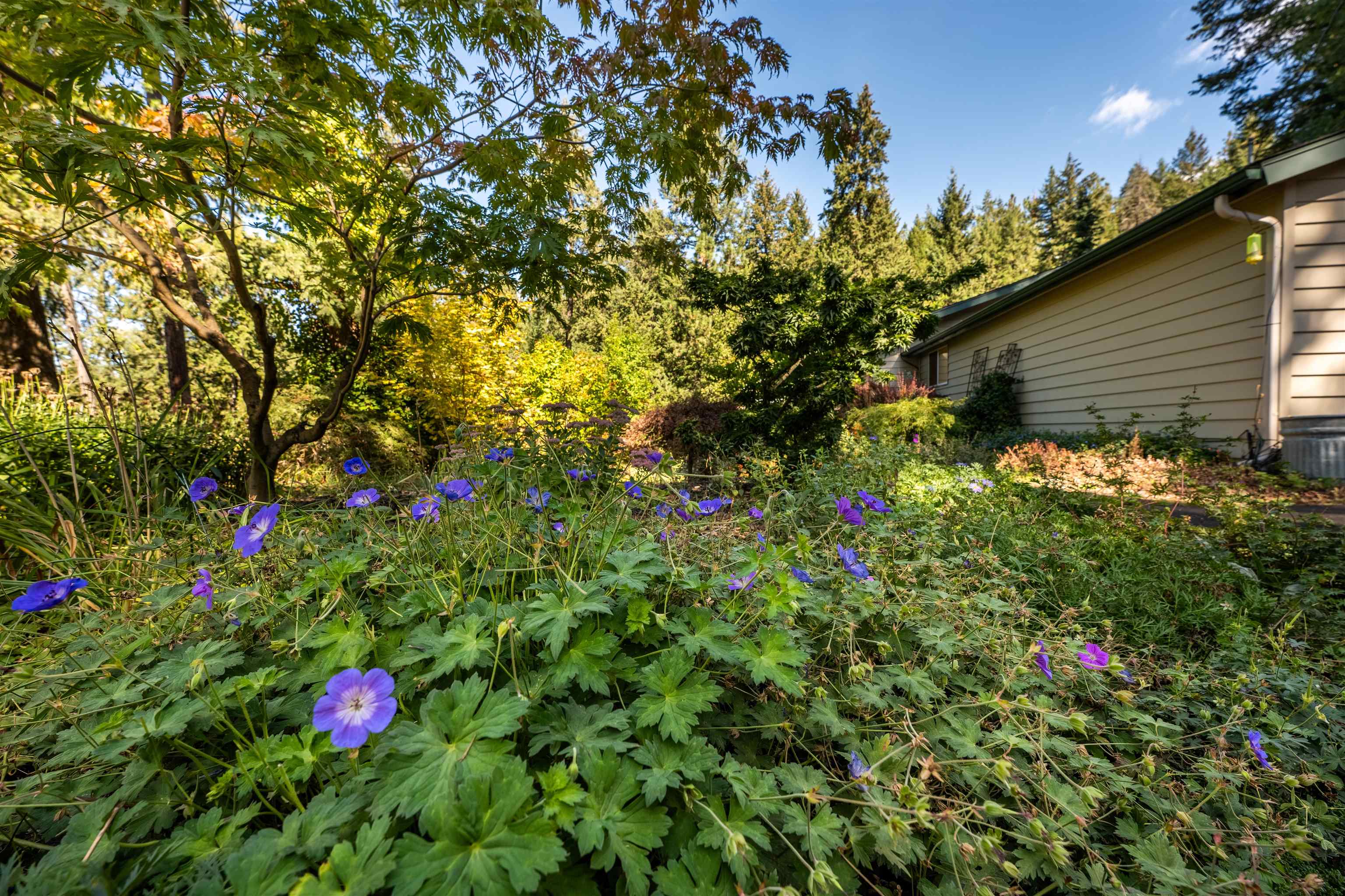 16818 North Dunn Road Mead, WA 99021 - Photo 33 of 39