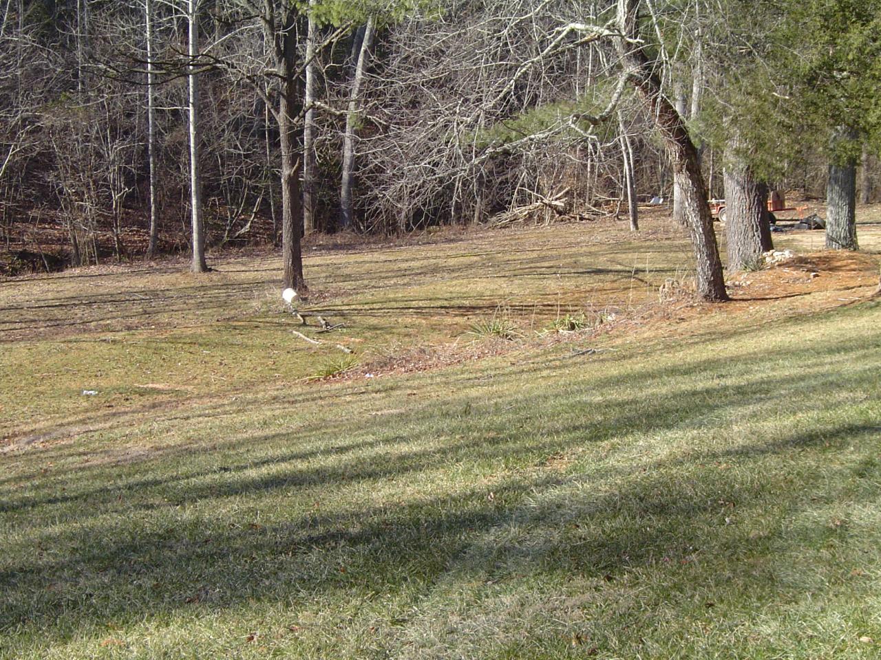 2130 6 Mile Post Road Callaway, VA 24067 - Photo 3 of 3 a view of a yard with large trees