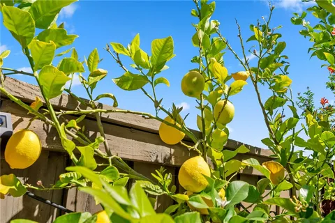 a view of swimming pool with outdoor seating and plants