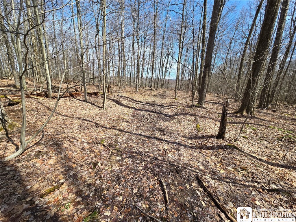 0 West Cobb Road Falconer, NY 14733 - Photo 29 of 49