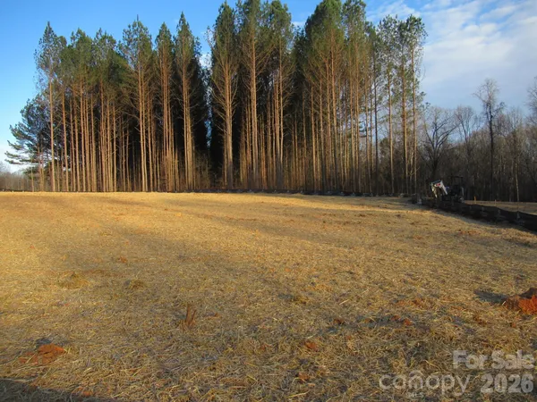 a view of a yard with palm tree