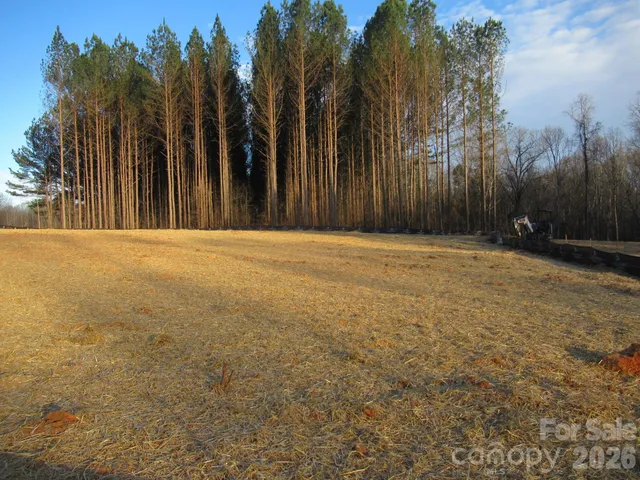 a view of a yard with palm tree