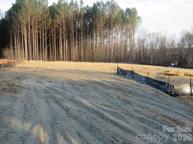 a view of a backyard with large trees