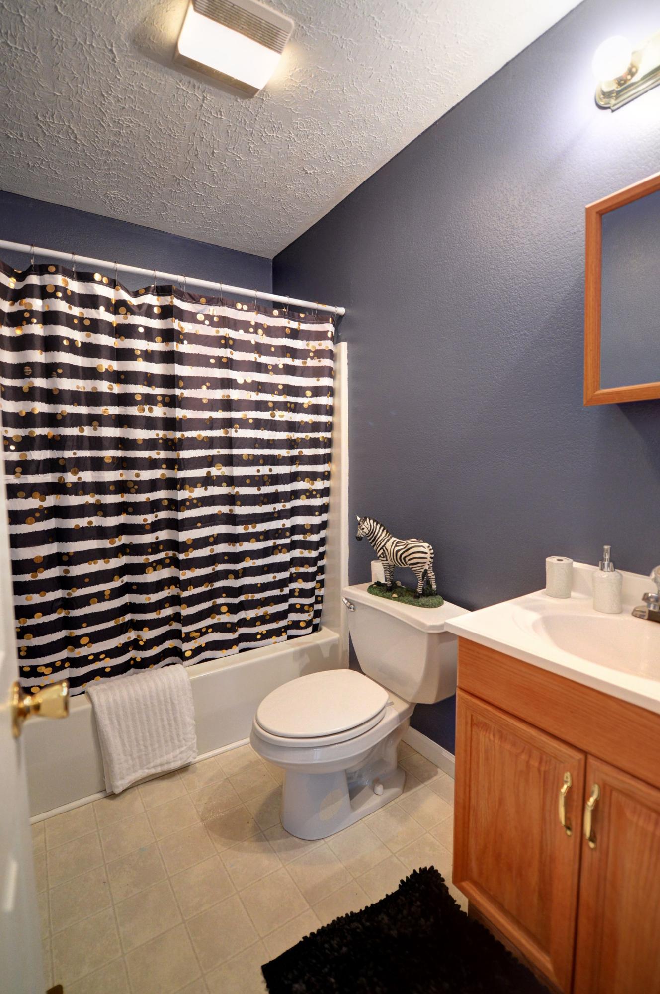 219 Oak Hill Estate Road Dayton, TN 37321 - Photo 20 of 32 20-219 Oak Hill Main Bath 2