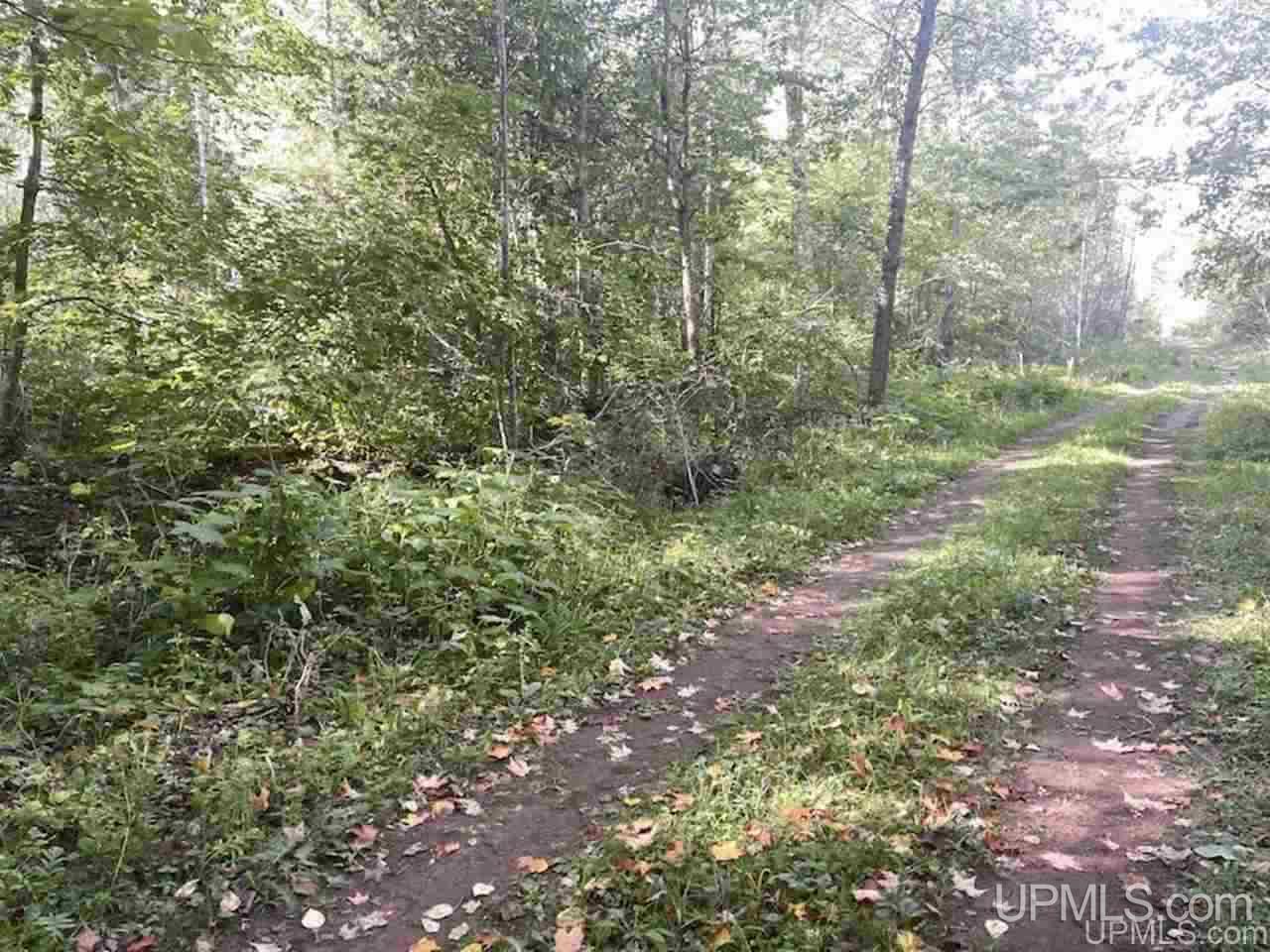 Parcel 9 R Liimatainen Road Lanse, MI 49946 - Photo 6 of 6 Gallery Image 6