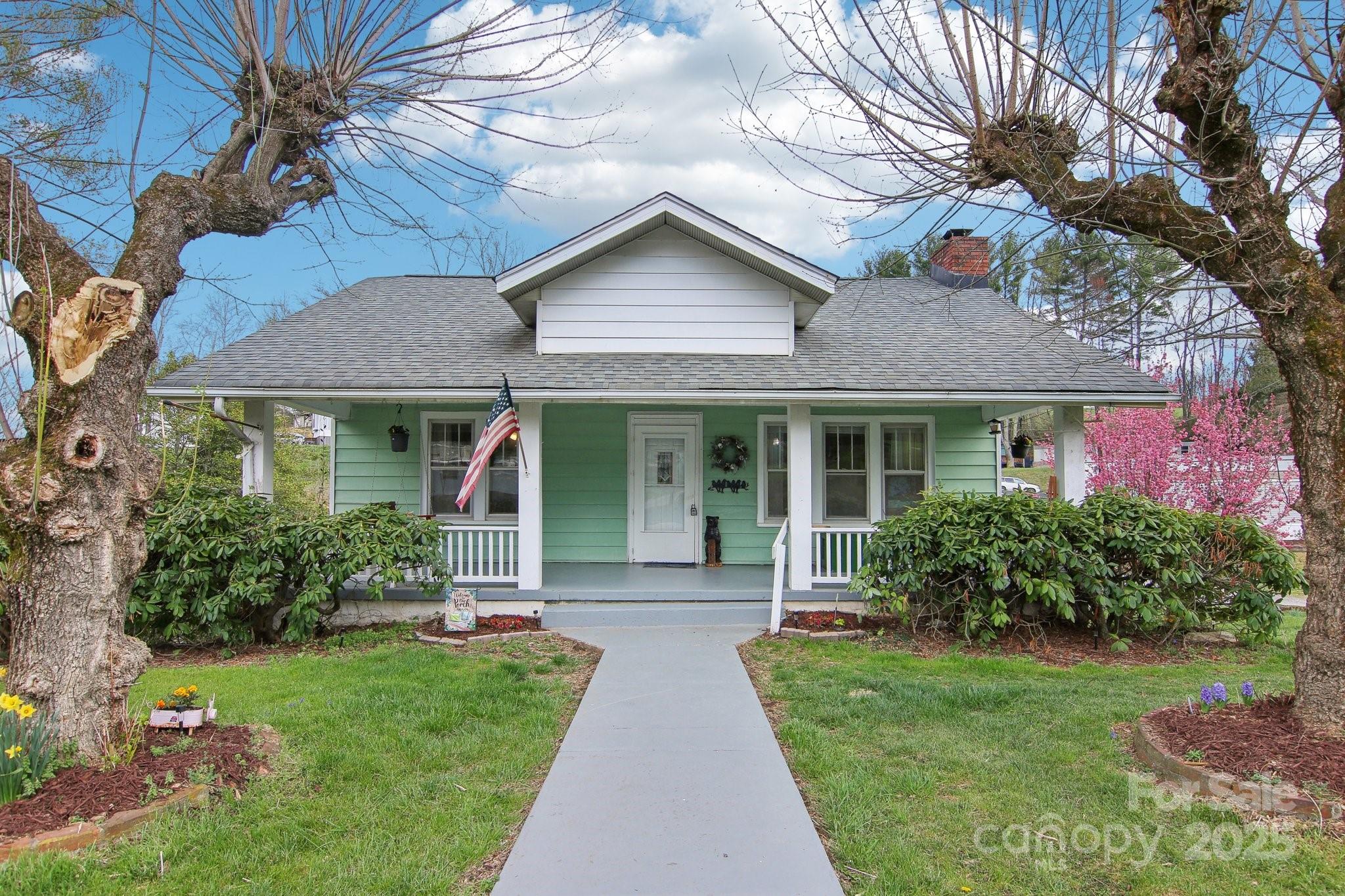 21 Henry Drive Clyde, NC 28721 - Photo 3 of 41