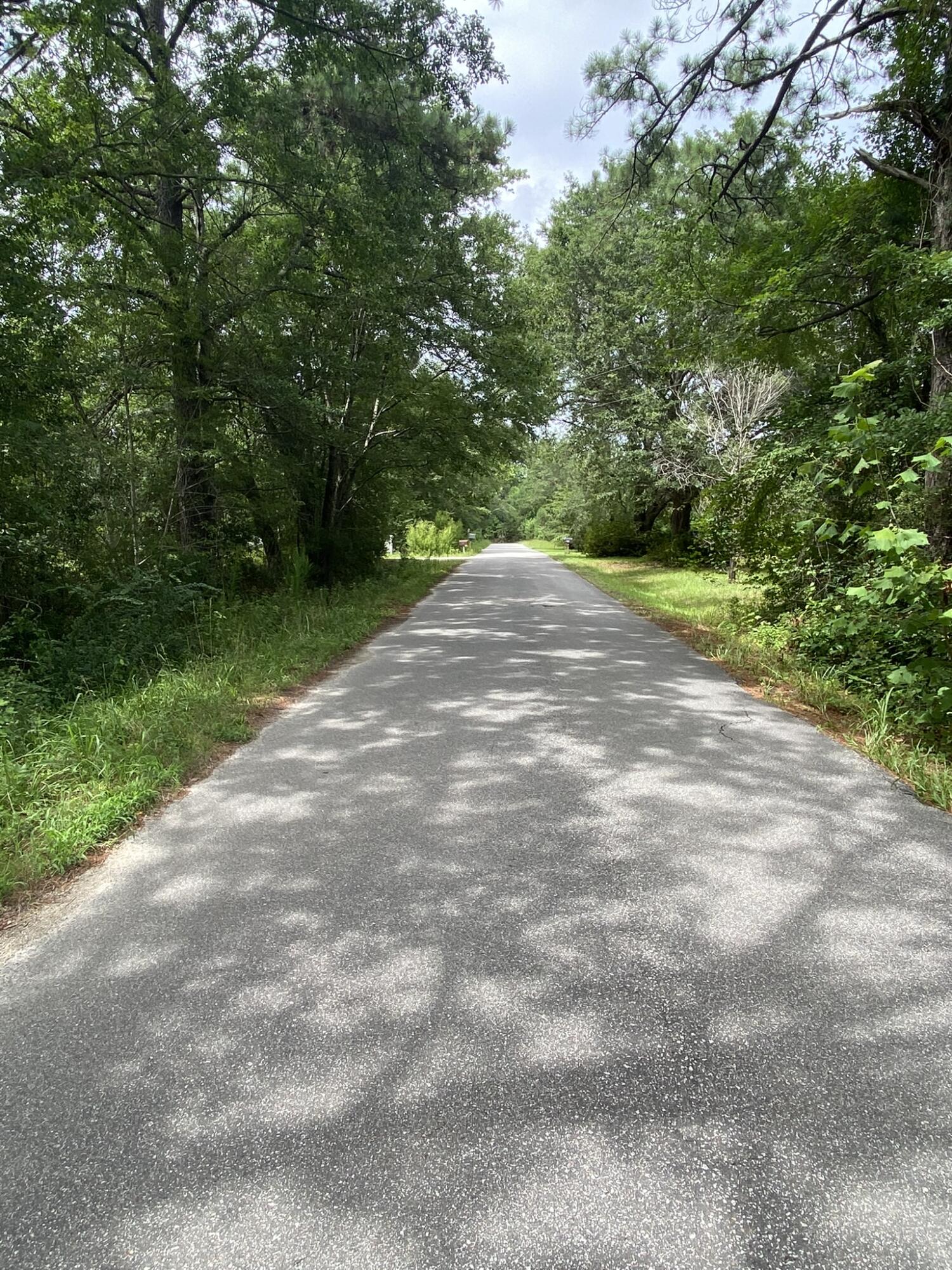 297 Mizell Road Dorchester, SC 29437 - Photo 7 of 14 EC3C896F-B687-44AA-B166-4D55654D6F61