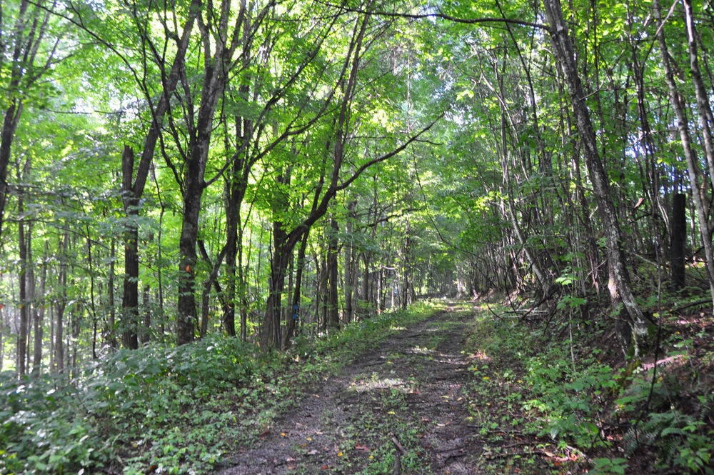 69 Ridge View Lane Sandstone, WV 25985 - Photo 55 of 63 Gallery Image 55