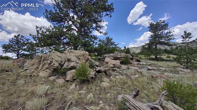 7228 Boulder Road Lake George, CO 80827 - Photo 22 of 35 Gallery Image 22