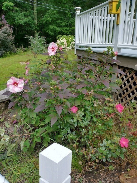 46 Apple Road Brimfield, MA 01010 - Photo 30 of 37 a backyard of a house with table and chairs