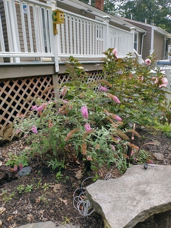 46 Apple Road Brimfield, MA 01010 - Photo 32 of 37 a backyard of a house with lots of green space