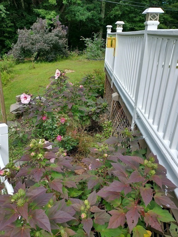 46 Apple Road Brimfield, MA 01010 - Photo 33 of 37 a view of a backyard with pathway