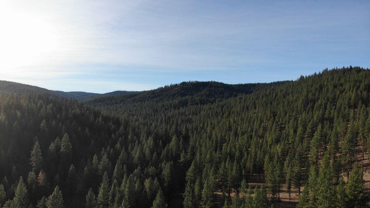 24302 Ochoco Ranger Road Prineville, OR 97754 - Photo 6 of 9 mountain ranch for sale oregon ochoco cr