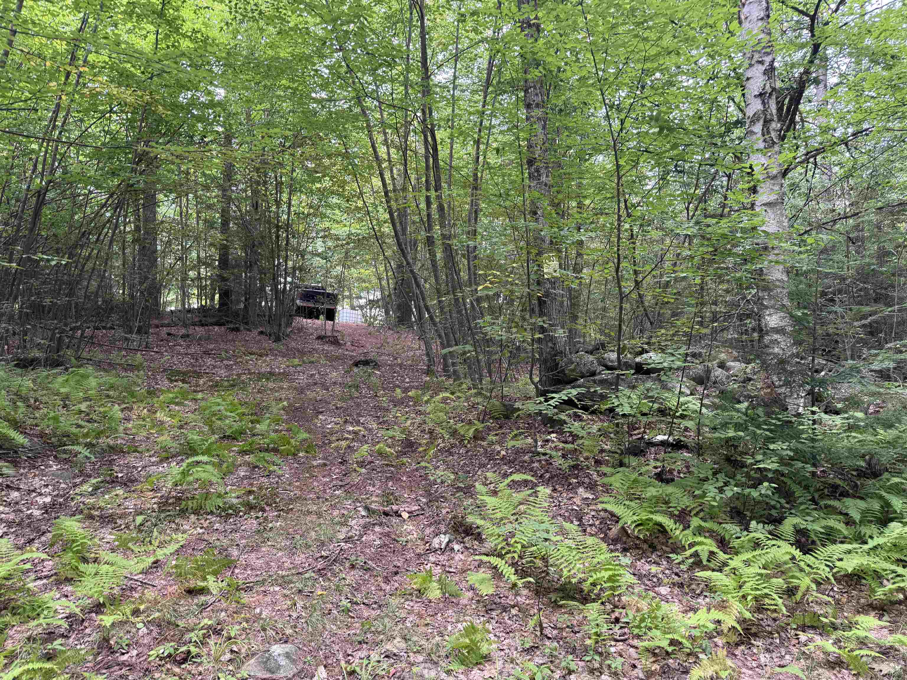0 Pierce Road, Unit MAP 2 LOT 3 Fitzwilliam, NH 03447 - Photo 10 of 12 Gallery Image 10