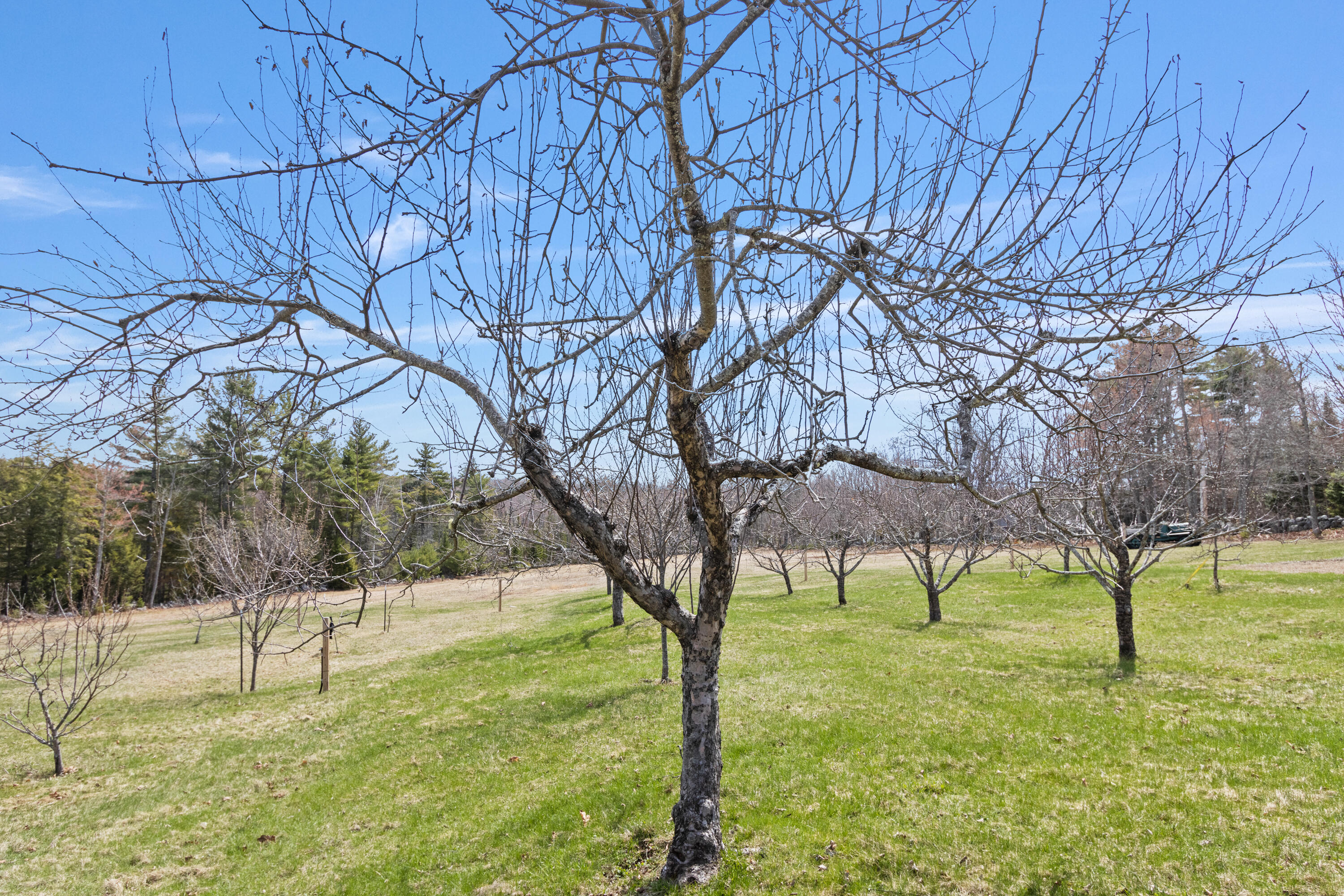 353 Bell Hill Road Otisfield, ME 04270 - Photo 27 of 100