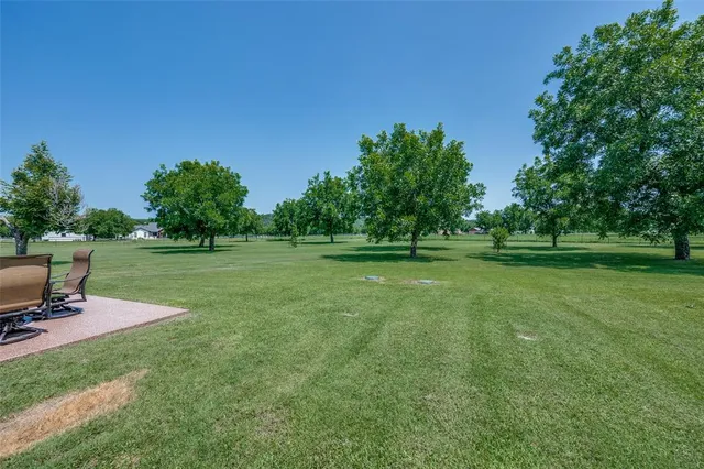 a view of a grassy field with trees