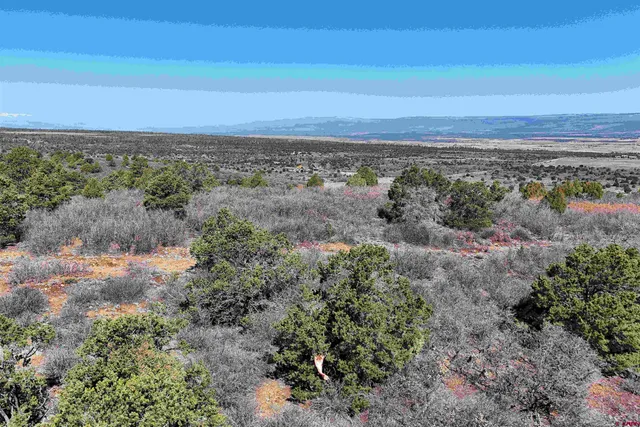 $189,000 | North Gurley Reserve, Norwood, CO 81423