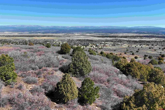 $189,000 | North Gurley Reserve, Norwood, CO 81423