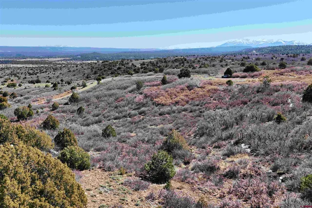 $189,000 | North Gurley Reserve, Norwood, CO 81423