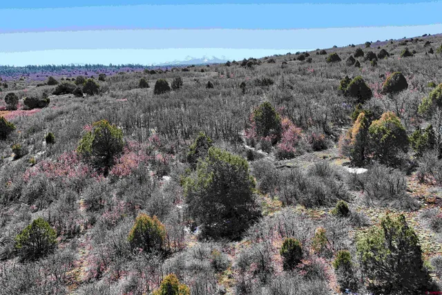 $189,000 | North Gurley Reserve, Norwood, CO 81423